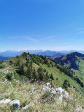 Crêtes d'Hirmentaz vue Mont-Blanc