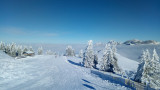 Piste rouge les Airelles -Hirmentaz Piste rouge les Airelles -Hirmentaz