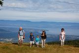 Tres le mont pasture - view on the lake of Geneva