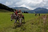 Walk with donkey on the Les Moises Plateau