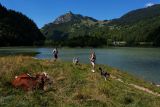 CANIRANDO - HIKE WITH SLED DOGS at Vallon lake