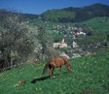 haberes-lullin-village vallee verte