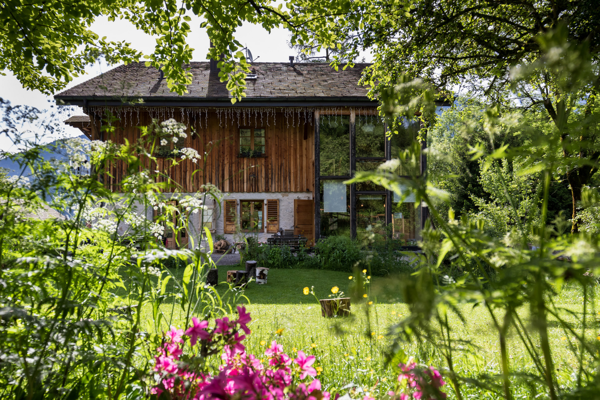 frederic_molina_le_moulin_de_léré