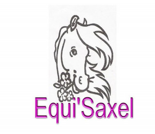 Equisaxel