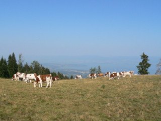 la_montagne_aux_soeurs.jpg