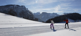 Vue sur le Roc d'Enfer depuis les pistes de ski de fond des Mouilles