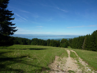 Trécout