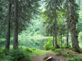 Lac de Petetoz