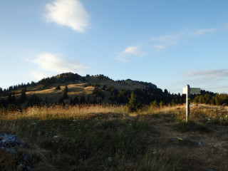 Alpage de Nifflon