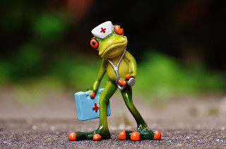 Grenouille infirmière humoristique