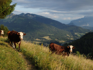 Balcons de Mégevette