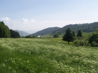 Plateau des Moises
