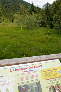 La Tourbière des Moises