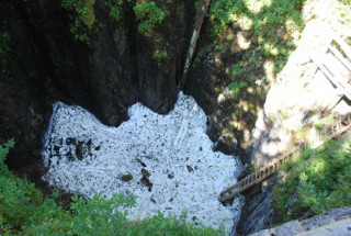 Tanne à neige