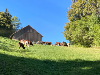 Randonnée 