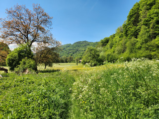 Hameau Chez Martin