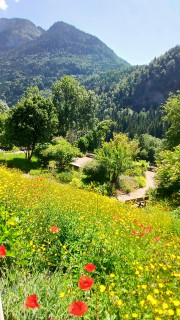 Jardin Alpin_Bellevaux