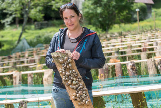 Les Escarpés Les Escarpés