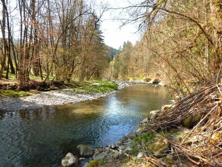 Fly-fishing course, La Menoge en Vallée Verte_Saint-André-de-Boëge