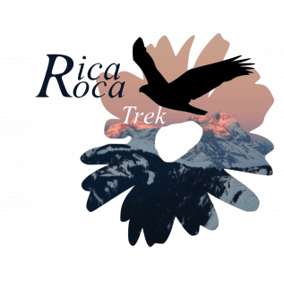 Ricarocatrek Ricarocatrek