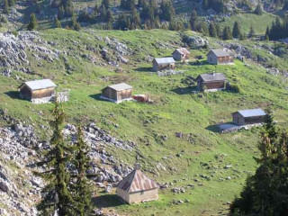 Alpage de Nifflon Alpage de Nifflon