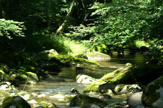 Parcours pêche, Le Brevon à Bellevaux_Bellevaux Parcours pêche, Le Brevon à Bellevaux_Bellevaux