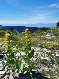 Hiking 