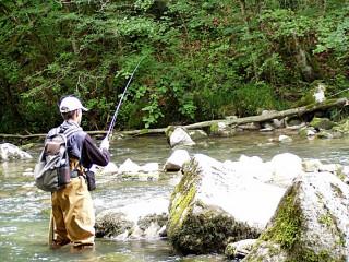 Fishing trail, Le Brevon at Vailly_Vailly Fishing trail, Le Brevon at Vailly_Vailly