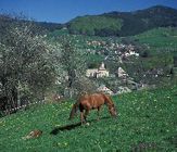 haberes-lullin-village vallee verte