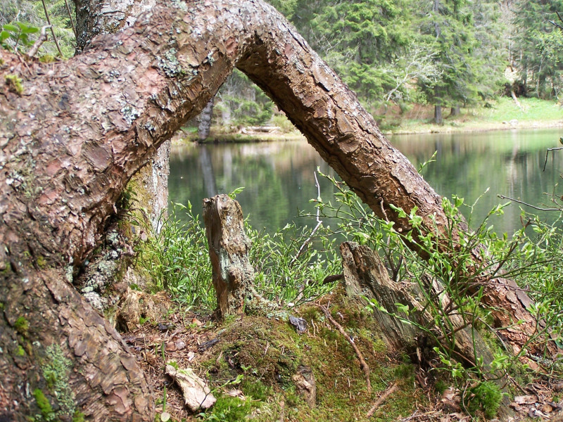 Lac de Petetoz