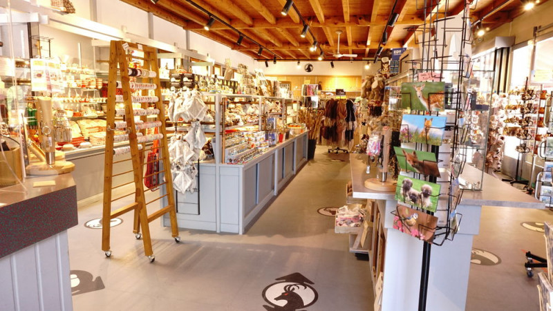 intérieur de la boutique souvenirs