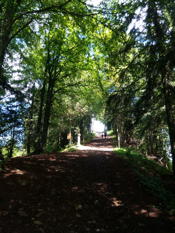Montée à la chapelle par le calvaire