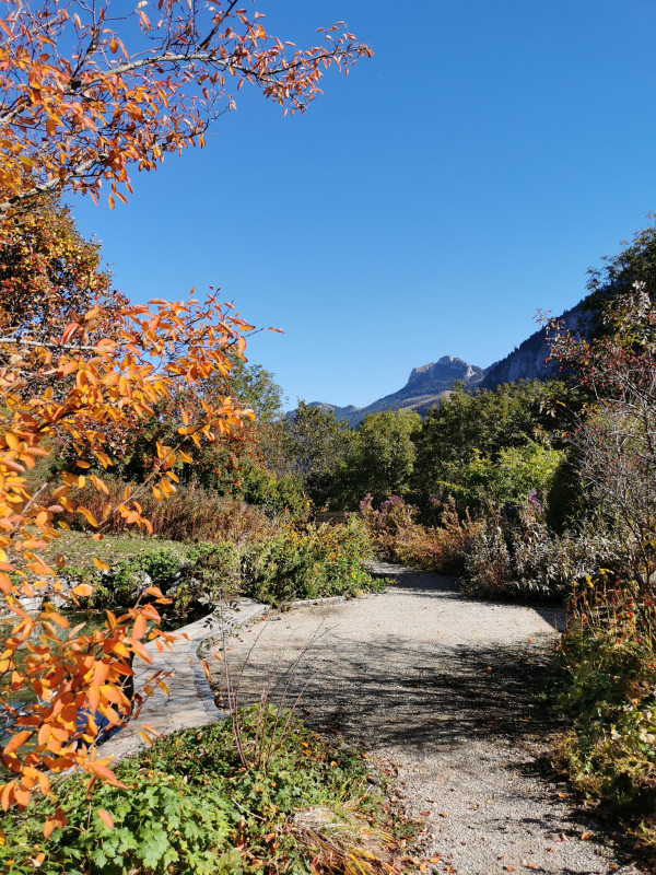 Allée du jardin