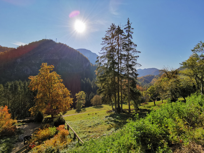 Vue sur les alpages