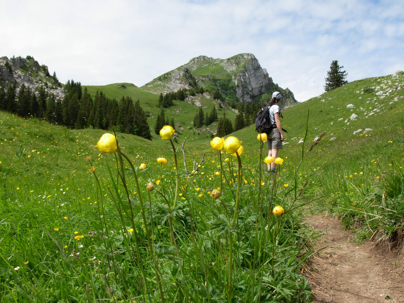 Haute Pointe