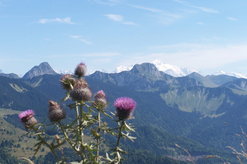 Vue haute pointe