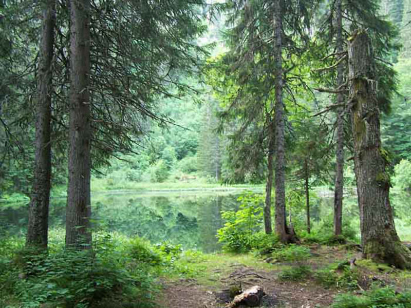 Lac de Petetoz