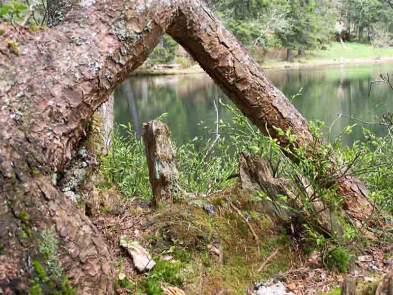 Lac de Petetoz