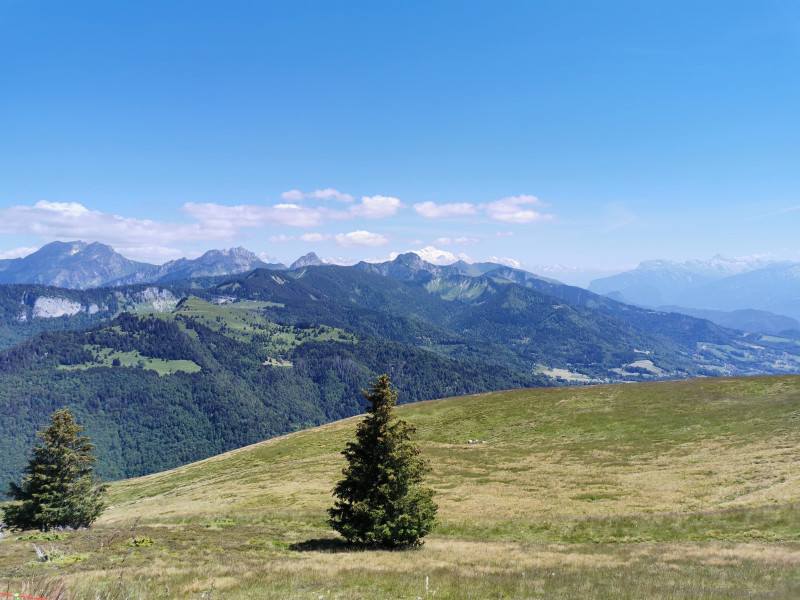 Vue Mont-Blanc