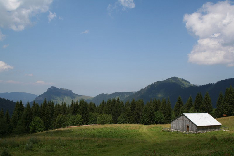 alpage de Petetoz