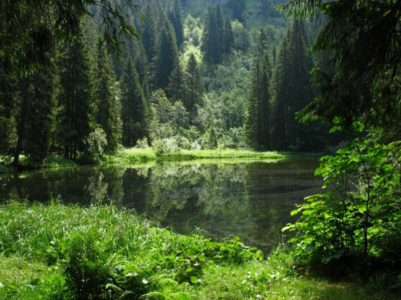 Lac de Petetoz