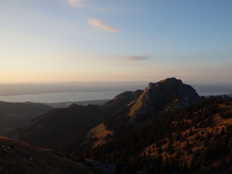 Alpage de Nifflon