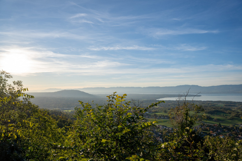Panorama