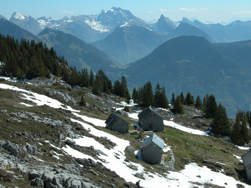 Nifflon d'En Haut
