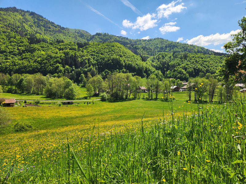 Hameau Les Moulins