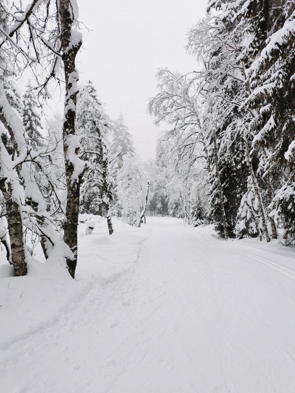 Les Mouilles Nordic Route_Bellevaux