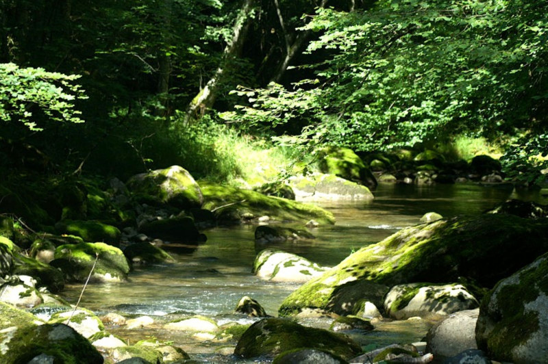 Le Brevon à Bellevaux Le Brevon à Bellevaux