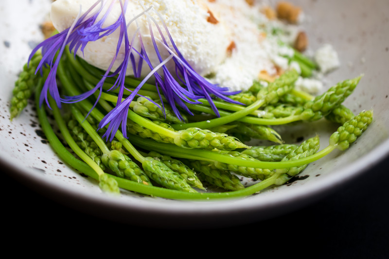 vg_5313.jpg vg_5313.jpg