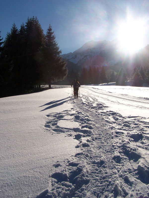 La Chèvrerie Nordic Route_Bellevaux La Chèvrerie Nordic Route_Bellevaux