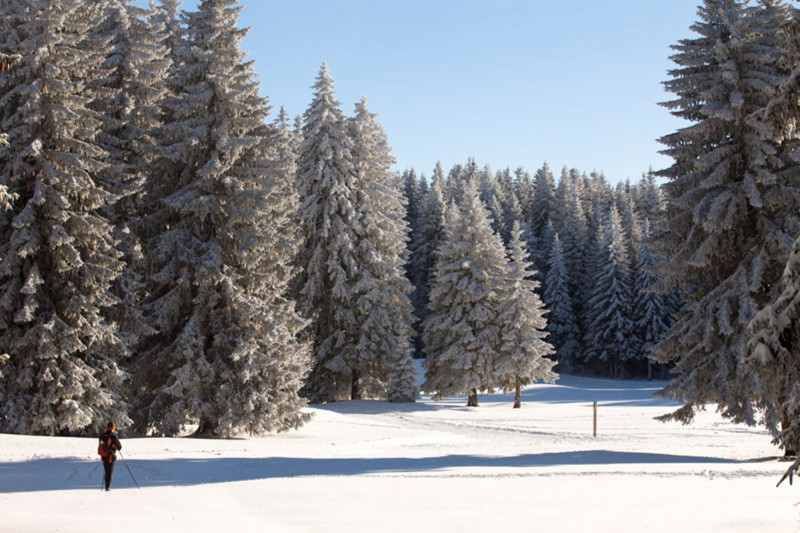 Col des Moises-Col du Feu Nordic Trek_Habère-Poche